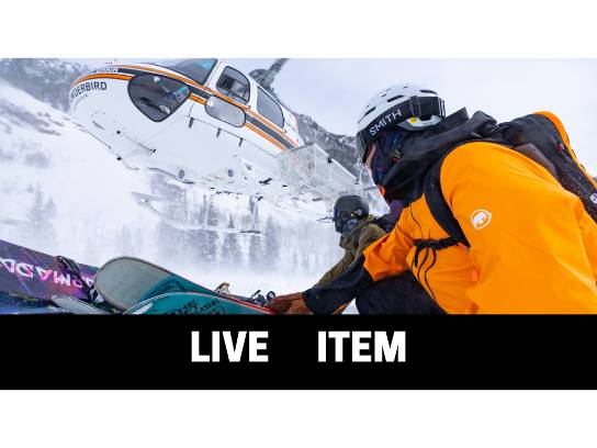 Image of the Item