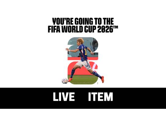 Image of the Item