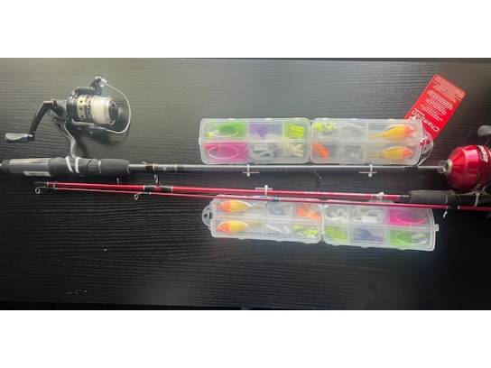Image of the Item