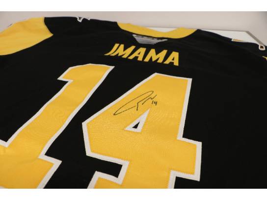 Image of the Item