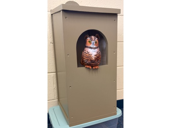 Image of the Item