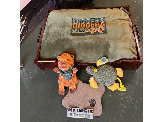 Image of the Item