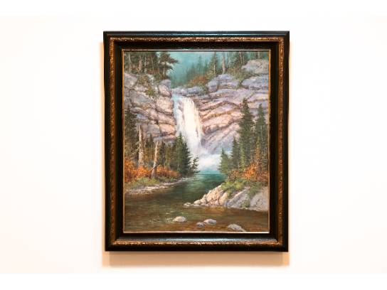 Image of the Item