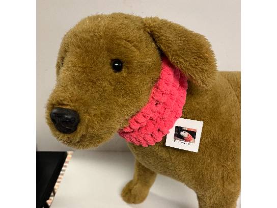 Image of the Item