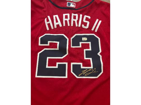 Image of the Item
