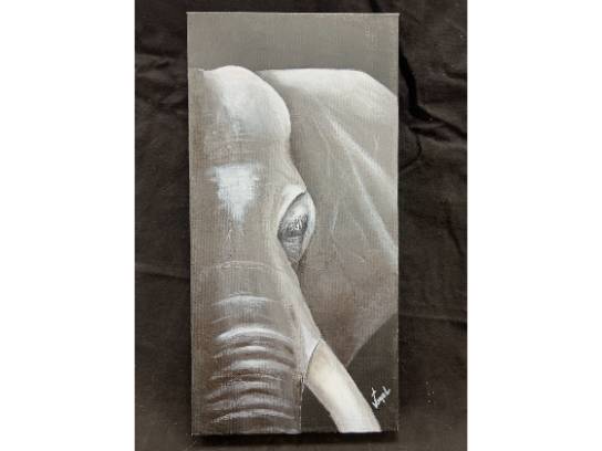 Image of the Item