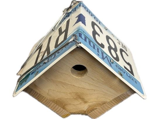 Image of the Item