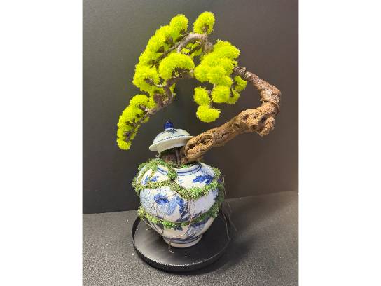 Image of the Item