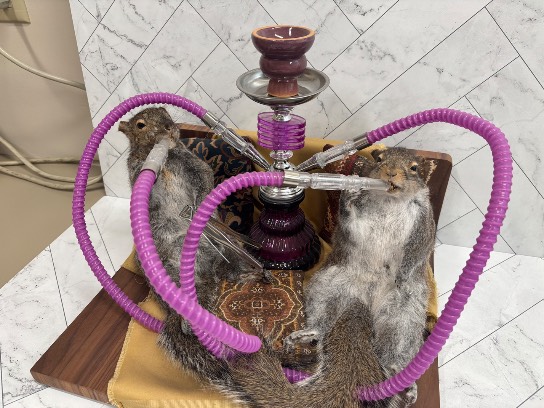 Image of the Item