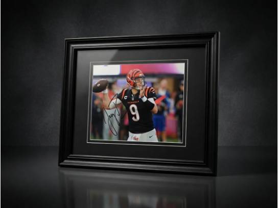 Image of the Item