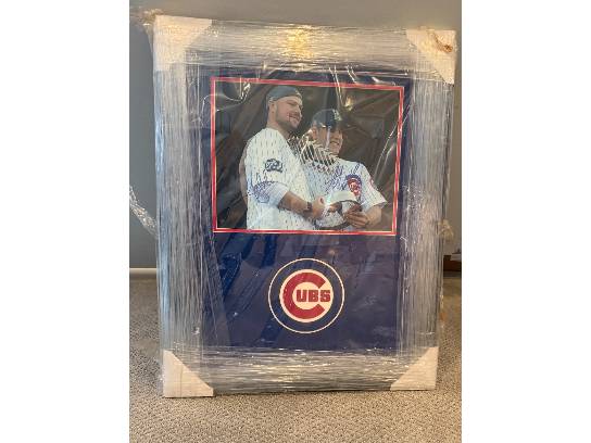 Image of the Item