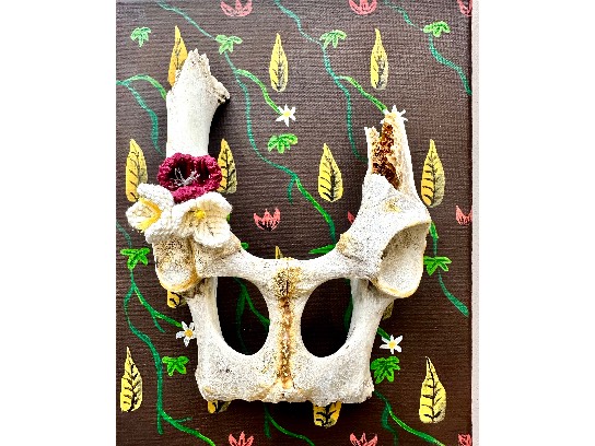 Image of the Item