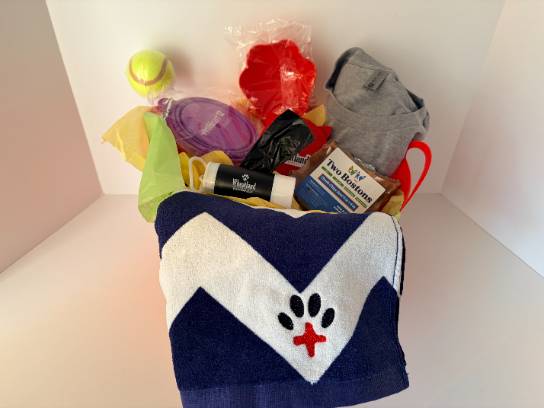 Image of the Item
