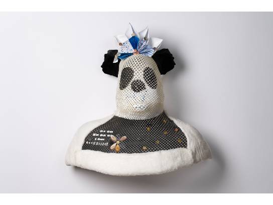 Image of the Item