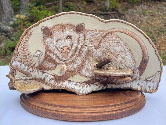 Image of the Item