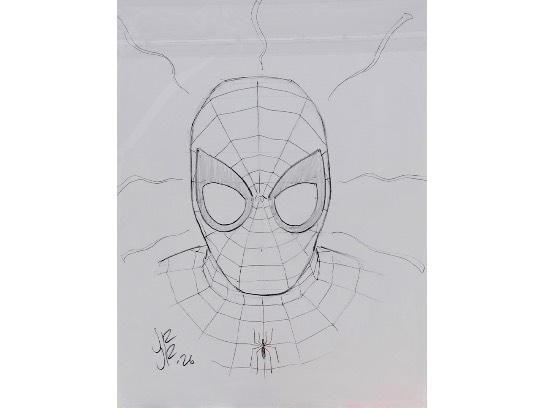 Image of the Item
