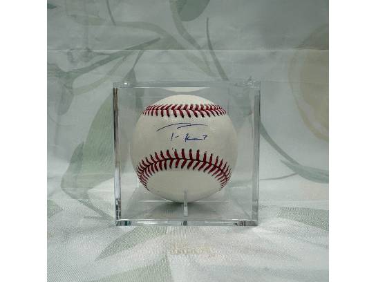 Image of the Item