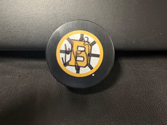 Image of the Item