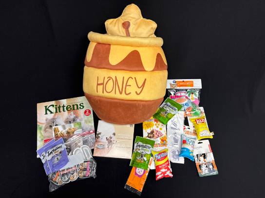 Image of the Item