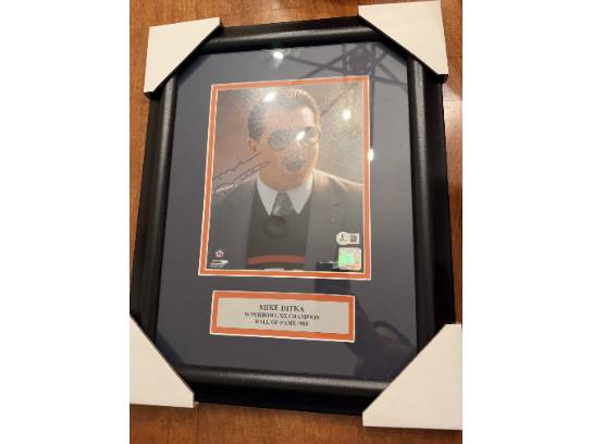 Image of the Item