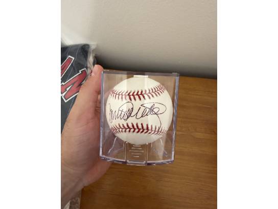 Image of the Item