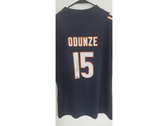 Image of the Item