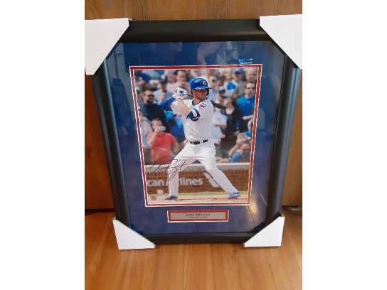 Image of the Item