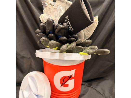Image of the Item