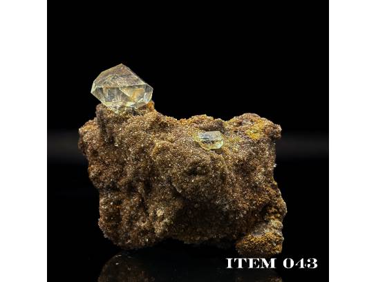 Image of the Item