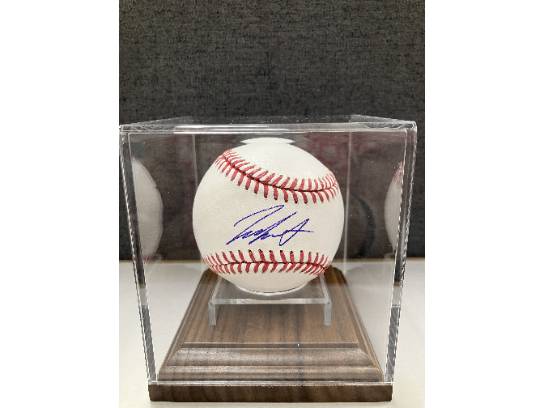 Image of the Item