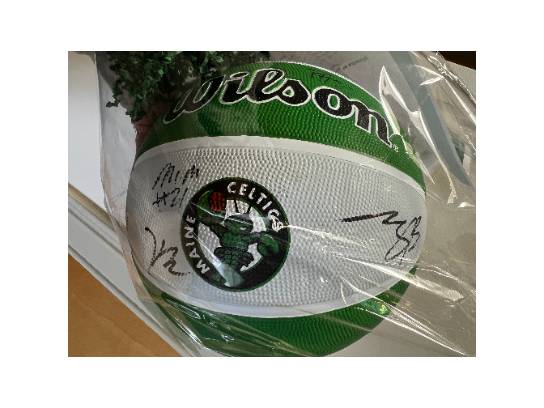 Image of the Item