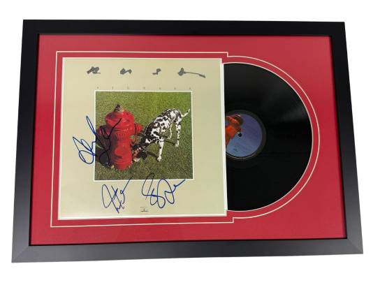 Image of the Item