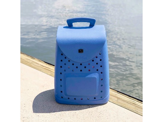 Image of the Item
