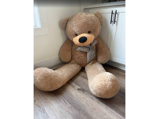 Image of the Item