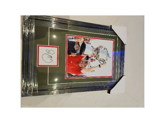 Image of the Item