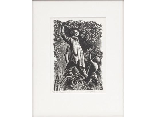 Image of the Item