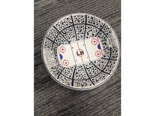 Image of the Item