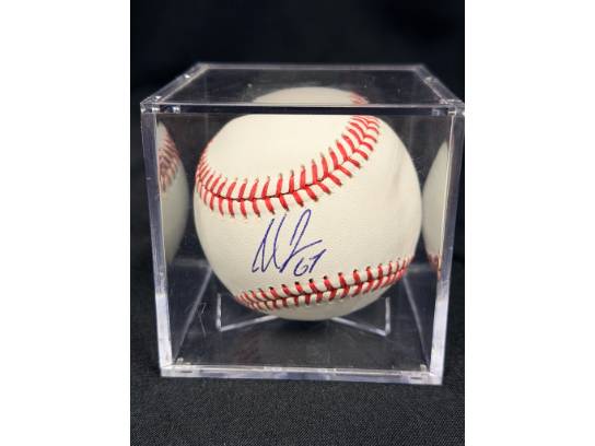 Image of the Item