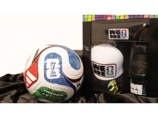 Image of the Item