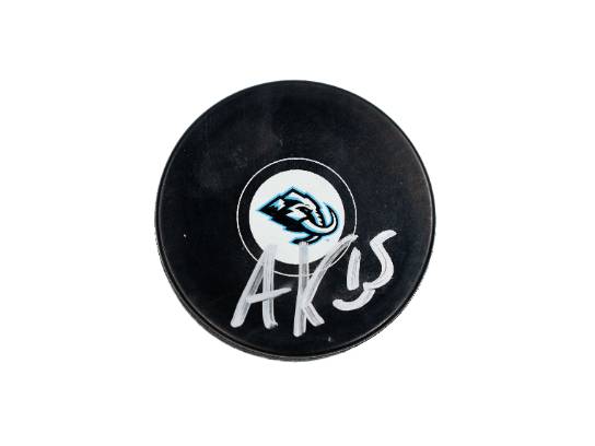 Image of the Item