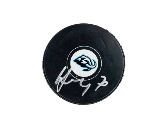 Image of the Item