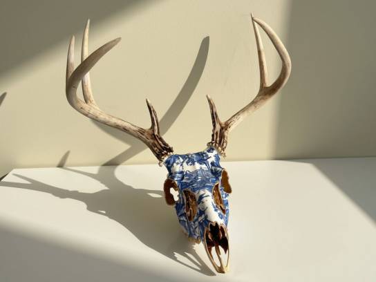 Image of the Item
