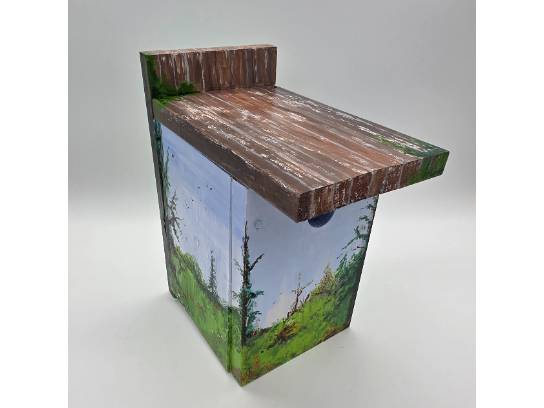 Image of the Item