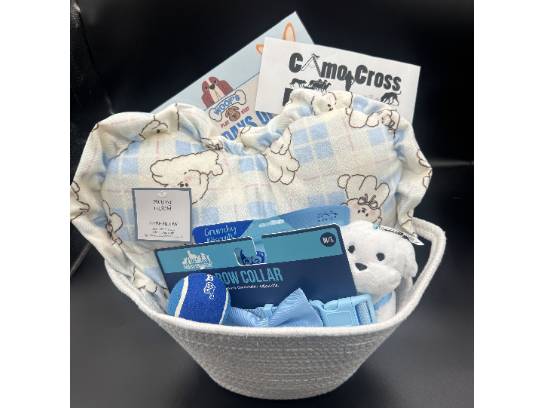 Image of the Item