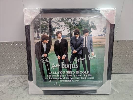 Image of the Item