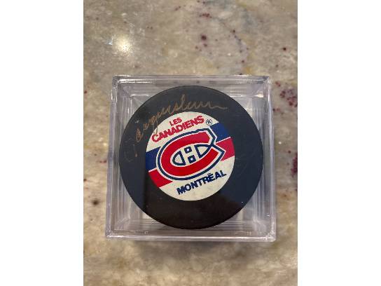 Image of the Item