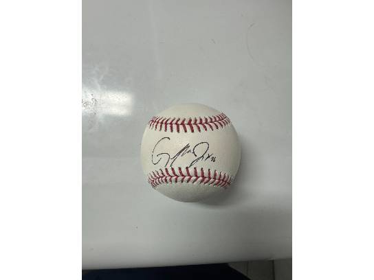 Image of the Item