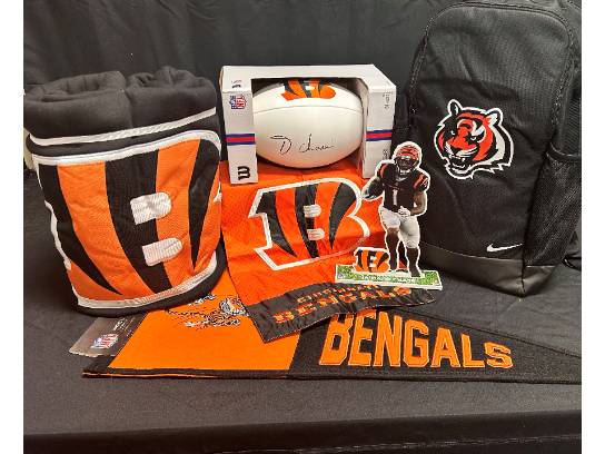 Image of the Item