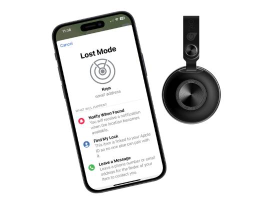 Image of the Item