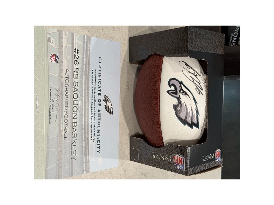 Image of the Item